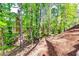 Wooded backyard features a path through the trees, creating a tranquil and private outdoor space at 7635 Blandford Pl, Atlanta, GA 30350