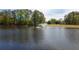 Scenic view of a tranquil lake with a decorative water fountain and green space at 12340 Preserve Ln, Alpharetta, GA 30005