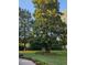 Beautiful front yard with green grass and mature magnolia tree providing shade at 1424 Belmont Rd, Villa Rica, GA 30180