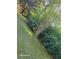 Lush landscaping and ground cover on sloped section of property at 1424 Belmont Rd, Villa Rica, GA 30180