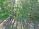 Enjoy the backyard's tree swing and natural landscape at 210 Arbor Creek Dr, Dallas, GA 30157