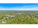 Expansive aerial view of lush greenery and landscape, showcasing the property's serene setting at 113 Fowler Dr, Bowdon, GA 30108
