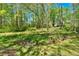 View of the backyard featuring green grass and scattered trees providing a serene outdoor space at 113 Fowler Dr, Bowdon, GA 30108