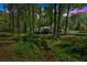 Exterior of house with a view of front porch, creek, lawn, and surrounding trees at 113 Fowler Dr, Bowdon, GA 30108