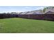 Spacious backyard with lush green grass and a dark wooden fence, offering privacy and room for recreation at 238 Dorothy Ln, Lawrenceville, GA 30046
