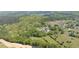 Aerial landscape view reveals mature trees and an expansive property with rolling green pastures at 88 Cline Smith Ne Rd, Cartersville, GA 30121