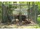 Outdoor chicken coop enhances the rural charm and self-sufficiency of this property with multiple chickens at 88 Cline Smith Ne Rd, Cartersville, GA 30121