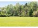 Expansive grassy pasture with mature trees around the border offers a tranquil setting for outdoor activities and rural living at 88 Cline Smith Ne Rd, Cartersville, GA 30121