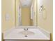 Powder room featuring a mirror and sink at 850 Madison Chase Way, Lawrenceville, GA 30045