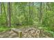 Secluded backyard retreat features a natural seating area with benches surrounded by lush greenery at 1206 Parkwood Chase, Acworth, GA 30102