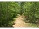 The community's walking trail leads through lush greenery at 1318 Crestwind Nw Rd, Kennesaw, GA 30152