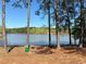 Scenic lakefront view featuring picnic tables, a grill, and mature trees providing shade for relaxation at 8531 Spivey Village Trl, Jonesboro, GA 30236