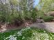 Lush backyard with mature trees, terraced landscaping, and healthy green lawn at 716 Crimson Morning Vw, Canton, GA 30114