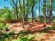 Inviting backyard area featuring a unique circular sandpit surrounded by natural landscaping at 679 Suwanee Ct, Lawrenceville, GA 30043