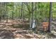 Scenic Pigeon Hill Trail surrounded by lush trees at Kennesaw Mountain National Battlefield Park at 900 Crossfire Nw Rdg, Marietta, GA 30064