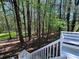 Scenic view of the wooded backyard with lush greenery and mature trees at 3861 Spring Meadow Dr, Acworth, GA 30101