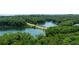 Scenic aerial view of the community surrounded by mature trees and lake at 159 Sunshower Rdg, Canton, GA 30114