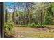 Overgrown backyard view to lush green trees and plant life at 2827 Overlook Ne Trce, Atlanta, GA 30324