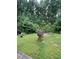Backyard featuring mature trees, green grass, and outdoor amenities at 6650 George Ct, Cumming, GA 30041