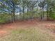 Wooded backyard with towering trees that offers great privacy and space at 4884 Browns Mill Ferry Rd, Lithonia, GA 30038
