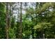 Lush backyard filled with mature trees and natural landscaping at 3320 Woodleaf Way, Marietta, GA 30062