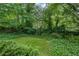Lush green backyard featuring mature trees and plants at 5618 Fern Creek Sw Dr, Lilburn, GA 30047
