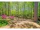 Scenic backyard featuring a wooded area and beautiful flowering shrubs at 8215 Majors Mill Dr, Cumming, GA 30041