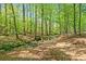 Serene backyard featuring lush greenery, mature trees, and a peaceful stream at 8215 Majors Mill Dr, Cumming, GA 30041