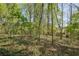 Secluded property surrounded by lush greenery and mature trees at 1735 Little Willeo Rd, Marietta, GA 30068
