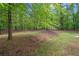 Expansive backyard, surrounded by mature trees offering ultimate privacy at 5071 Woodmont Dr, Villa Rica, GA 30180