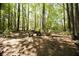 Secluded backyard fire pit area surrounded by mature trees, perfect for outdoor gatherings at 384 Wesley Dr, Acworth, GA 30101