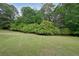 Sprawling green backyard with mature trees at 841 Sapphire Ln, Sugar Hill, GA 30518
