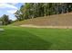 Green backyard with a treeline in the background at 529 Lanier Way, Temple, GA 30179