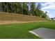 Green backyard with partial cement slab for patio and a tree line in the background at 529 Lanier Way, Temple, GA 30179