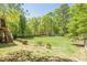 Large fenced backyard with mature trees, playset, and lush green grass, perfect for outdoor activities at 1010 Forest Creek Dr, Canton, GA 30115