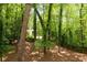 Backyard surrounded by mature trees and landscaping, offering privacy and natural beauty at 239 Devonwood Dr, Atlanta, GA 30328