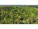 An aerial view showcases the home's location nestled among lush greenery and mature trees with a pool visible at 297 Breeze Hill Ln, Canton, GA 30114