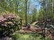 Picturesque backyard with lush trees and plantings provides a serene outdoor escape at 6255 Lakeview Dr, Buford, GA 30518