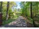 Long driveway leading to a charming home surrounded by lush greenery and mature trees at 3141 Burnt Hickory Nw Rd, Marietta, GA 30064