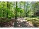 A beautiful backyard area with natural landscaping and mature trees at 3141 Burnt Hickory Nw Rd, Marietta, GA 30064