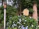 Picturesque backyard with a charming shed surrounded by blooming hydrangeas and mature trees at 751 Oneta Dr, Norcross, GA 30093