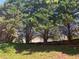 Backyard with several tall evergreen trees and a wooden fence at 4018 Dorchester Nw Walk, Kennesaw, GA 30144