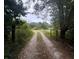 Gravel driveway leading to a pasture, framed by trees and fence lines, on the property at 177 New Hope Cir, Fayetteville, GA 30214