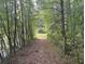 Wooded path leading to a clearing, showcasing the natural beauty and privacy of the property at 177 New Hope Cir, Fayetteville, GA 30214