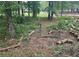 View of wooded area of land, featuring a fence and scattered logs, showcasing natural surroundings at 177 New Hope Cir, Fayetteville, GA 30214