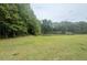 Pasture land and a pond on the property, bordered by mature trees, offering a tranquil setting at 177 New Hope Cir, Fayetteville, GA 30214
