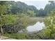 A serene view of the pond from the property's edge, surrounded by lush greenery at 177 New Hope Cir, Fayetteville, GA 30214