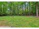 Spacious backyard with lush green grass and a fire pit, great for outdoor activities at 1520 N Milford Creek Sw Ln, Marietta, GA 30008