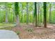 Wooded back yard featuring stacked stone and lush green foliage at 2633 Jonesboro Rd, Fairburn, GA 30213