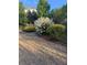 Expansive backyard garden area featuring lovely mature trees and garden at 550 Vinings Springs Se Dr, Smyrna, GA 30126